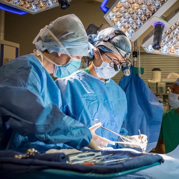Aesthetic Surgery