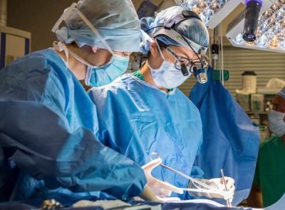 Aesthetic Surgery